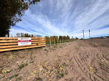 Terreno , Añelo · 10 Ha en Venta en Añelo Para Loteo Riveras de Añelo con Frente de Ruta