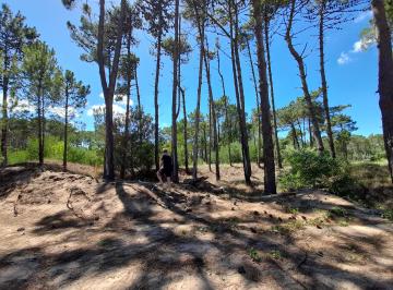 Terreno en Venta  Bosques · Excepcional Lote en Bosques - Pinamar