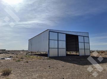 Bodega-Galpón · 300m² · En Alquiler | Galpón de 300 m² | Añelo | Neuquén