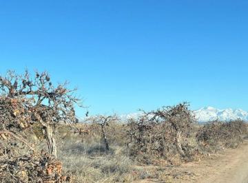 Terreno en Venta · Venta Finca 34ha Junín Mendoza Cercanías de Medrano