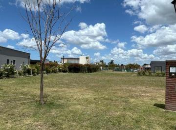 Terreno · 600m² · Lote en Santa Emilia, Pilar del Este