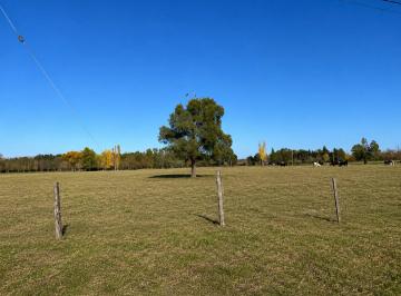 Terreno · 5611m² · Terreno en Venta Laguna de Lobos, Ubicacion Ideal