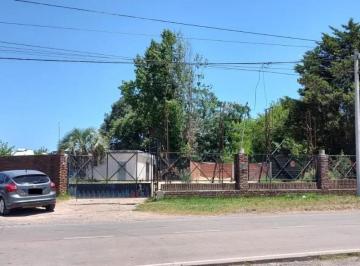 escobar-loma-verde-venta-galpon-mas-de-500-mts · Campo de 2.4has con 600 m² de Galpones Sobre Panamericana