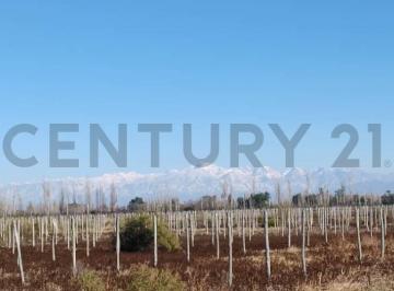 Local comercial · 95000m² · Finca en Venta en Junin