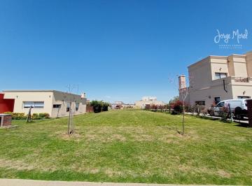 Foto Principal · Lote Interno Al Verde # - Pilar del Este - San Ramiro - 526 m² #id 14188