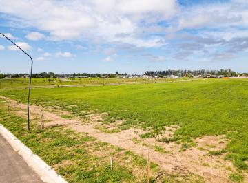 Terreno · 360m² · Terreno en Venta 360 m² - General Lagos - Ecolagos Este - Todos Los Servicios