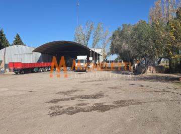 Local comercial · 7000m² · Local con Galpón y Terreno