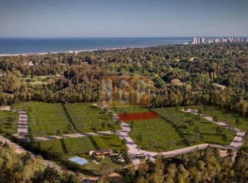 Foto1 · Terreno en Venta La Chacra Rincón del Indio
