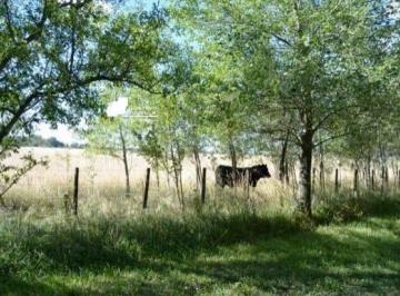 GNP-GNP-1023_2 · Campo en Venta 126hs