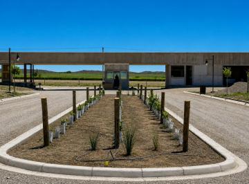 Terreno , La Arboleda · Increible Lote en Tupungato Valley, Valle de Uco, Mendoza