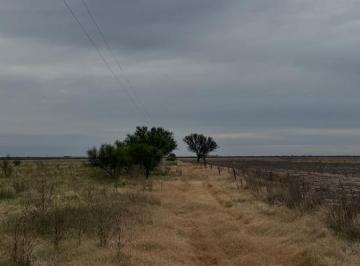 Campo · 287ha · 287 Ha en Venta 100% Agricolas en Colonia Belgrano
