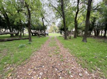 Campo · 25000ha · 4 Ambientes · Chacra de 2,5 Ha - Venta - Marcos Paz
