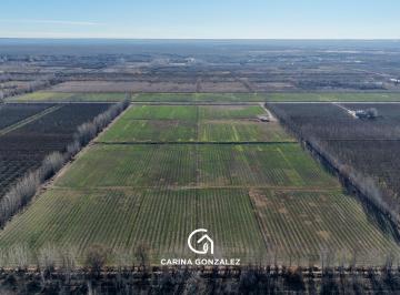 Campo · 120000ha · Chacra en Venta Guerrico o P o R T U N I D a D Venta de Chacra 8 con Frente de Ruta 65