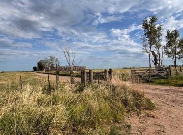 Campo · 681ha · Campo en Venta en Carlos Tejedor