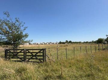 Terreno · 1995m² · Lote en Venta en Smith Carlos Casares