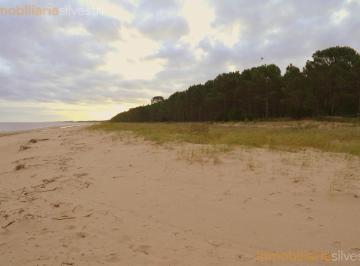 Campo · 320000ha · Colonia, Uruguay - Campo de 32 Hectáreas con Playa en Venta