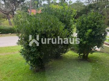 Foto1 · Venta Punta del Este 1 Dormitorio Brava Isla Verde