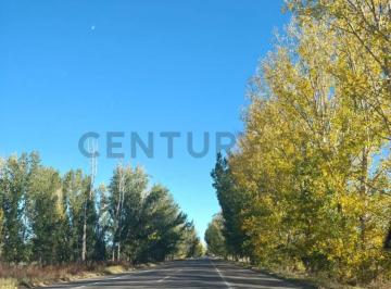 Campo · 8m² · Venta Finca 8,3 Has con Frutales - San Carlos (Valle de Uco)