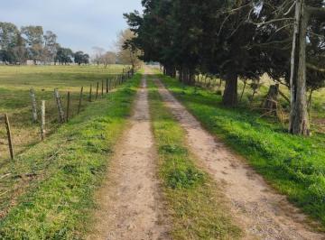 Terreno · 54000m² · Capitan Sarmiento 5,47 Ha - Fraccion Rural