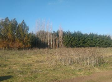 Terreno · 2729m² · Areco - Zona de Quintas - Cerca del Campo - 2730 m 2