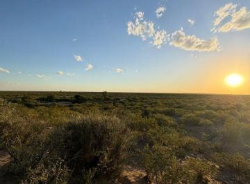 Campo · 70ha · Campo Ganadero con Agua