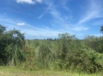 Campo · 27150ha · Venta de Terreno. Monte Vera