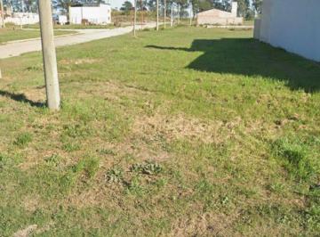 Terreno · 367m² · Lote con Servicios a La Venta en Nuevo Torino