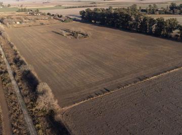 Terreno · 100000m² · Lote de 10 Has en Venado Tuerto