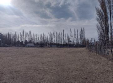 Bodega-Galpón · 1260m² · Alquiler Galpón Apto Industria - Allen
