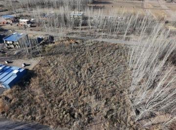 Terreno · 3240m² · En Venta 6 Lotes en La Forestada, Añelo, Neuquen