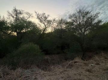 Terreno · 56400m² · Venta de Lotes en Santa Teresa – Paraje Cardozo