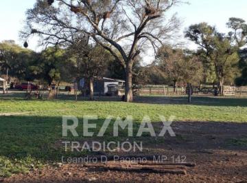 Campo · 2491ha · Campo Ganadero en Venta en Dpto Tapenaga