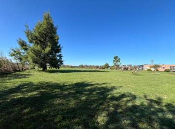 Terreno · 1000m² · Terreno en Venta en Cañuelas Buenos Aires