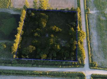 Terreno · 10000m² · Se Vende - Una Hectarea - Barros Pazos