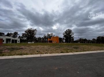 Foto Principal · Lote Venta Barrio Santa Elisa - Interno - 501 m² #id 18815