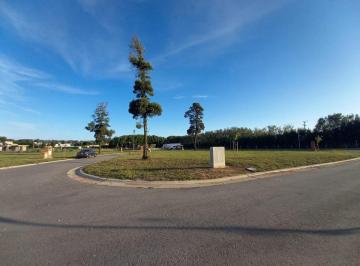 Terreno · 652m² · Venta | Lote | Arenas Chico