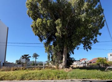 Terreno · 670m² · Venta | Lote | Apto Diversos Usos
