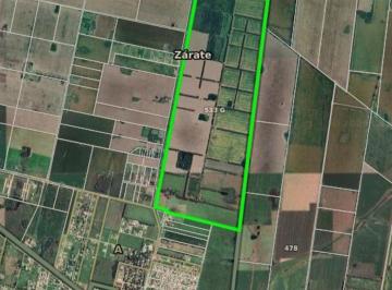 Campo , Zárate · Campo 220 Has con Mejoras