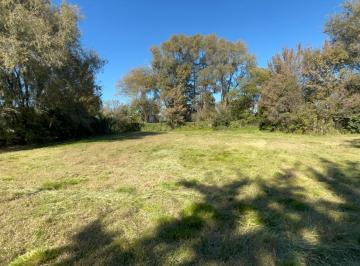 Terreno en Venta · Terreno en Venta Pehuajo