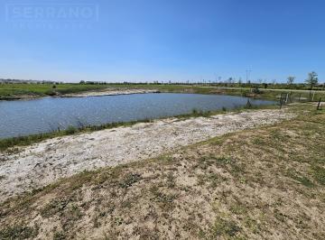 Terreno · 731m² · Venta Lote Al Agua en Riberas, Puertos del Lago