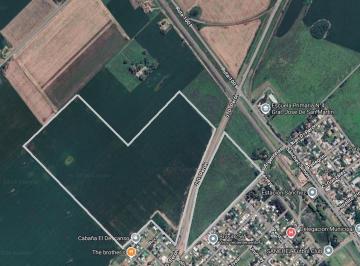 Campo , Villa General Savio · Campo 52 Has, Ramallo