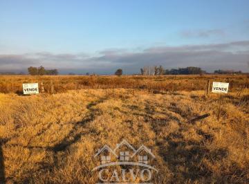 Campo , Mercedes · Campo 35ha Sobre Ruta Nacional 5. Mercedes, Buenos Aires.