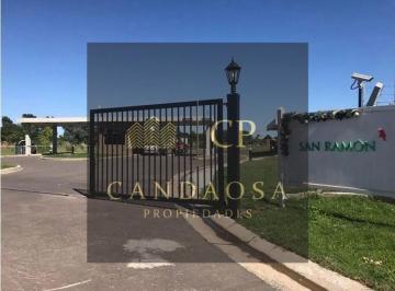 Terreno · 450m² · Mlm. Venta Lote Interno en Barrio San Ramón, Pilar del Este