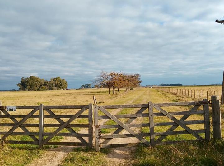 Terreno · 160ha