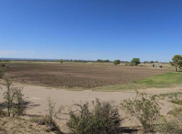 Campo · 120ha · Venta Finca 120 Hectáreas Carrizal Lujan de Cuyo