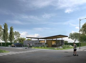 Foto · Lote Residencial en Las Tipas Excelente Ubicación
