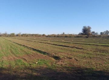 Campo · 15ha · Venta de Campo 15 Has en Villa del Soto Cordoba