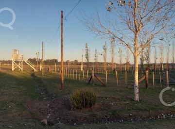 Terreno · 357m² · Venta o Permuta Lote - Domselaar Chico - Partido de San Vicente