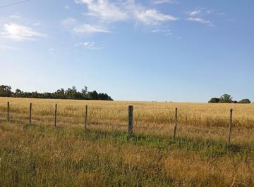 Campo · 570000ha · Campo - Pergamino