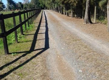 Campo · 140000m² · Venta Campo 14 Ha Agropecuarias, Apto Granja, Emprendimiento o Cultivo